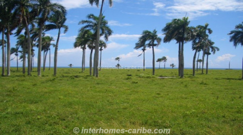 photos for LAS CAÑAS: LAND OF 25,000 M² / 6.18 ACRE WITH DIRECT SEA FRONT, OWNER FINANCING