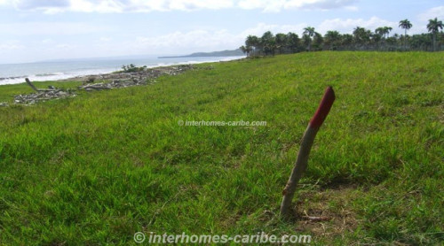 photos for LAS CAÑAS: LAND OF 50,000 M² / 12.36 ACRE WITH DIRECT SEA FRONT, OWNER FINANCING