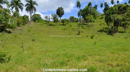 photos for SOSUA ABAJO: LOT OF CURRENTLY 32,000 M² (7.91 ACRES), VERSATILE USABLE, LOCATED CLOSE TO SOSUA