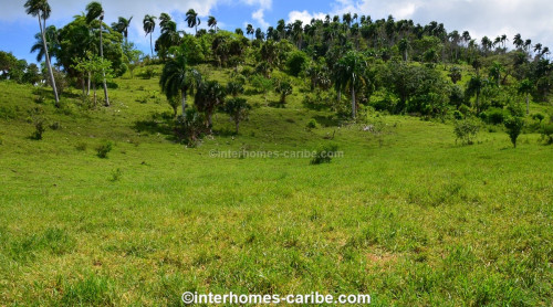 photos for SOSUA ABAJO: LOT OF CURRENTLY 32,000 M² (7.91 ACRES), VERSATILE USABLE, LOCATED CLOSE TO SOSUA