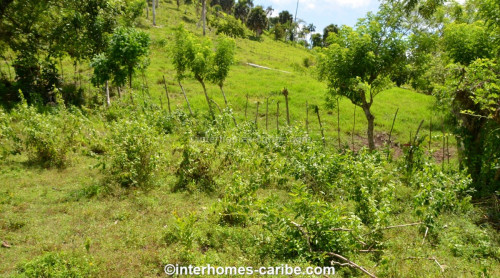 photos for SOSUA ABAJO: LOT OF CURRENTLY 32,000 M² (7.91 ACRES), VERSATILE USABLE, LOCATED CLOSE TO SOSUA