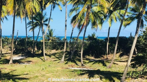 photos for SABANETA DE YASICA: THE LAST LOT WITH DIRECT BEACH LOCATION ON THE NATURAL LA BOKA BEACH