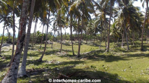 photos for SABANETA DE YASICA: THE LAST LOT WITH DIRECT BEACH LOCATION ON THE NATURAL LA BOKA BEACH