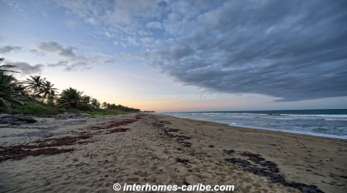 photos for CABARETE: 1 BEDROOM APARTMENT, JUST 100 STEPS TO THE BEACH